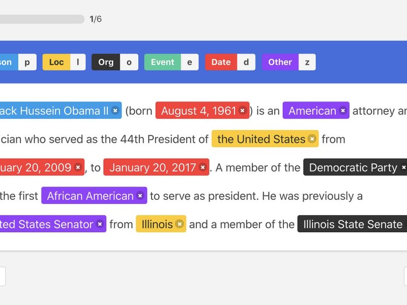Text Annotation & NLP Labeling - DataLens Africa